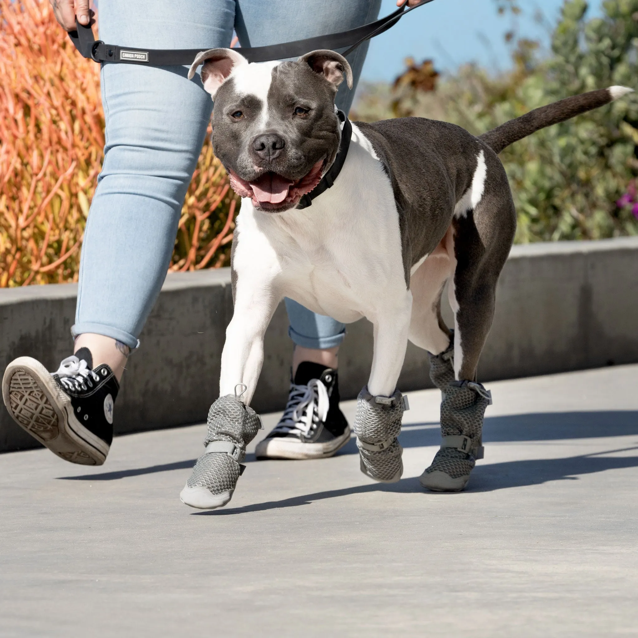 Canada Pooch Hot Pavement Boots - Grey