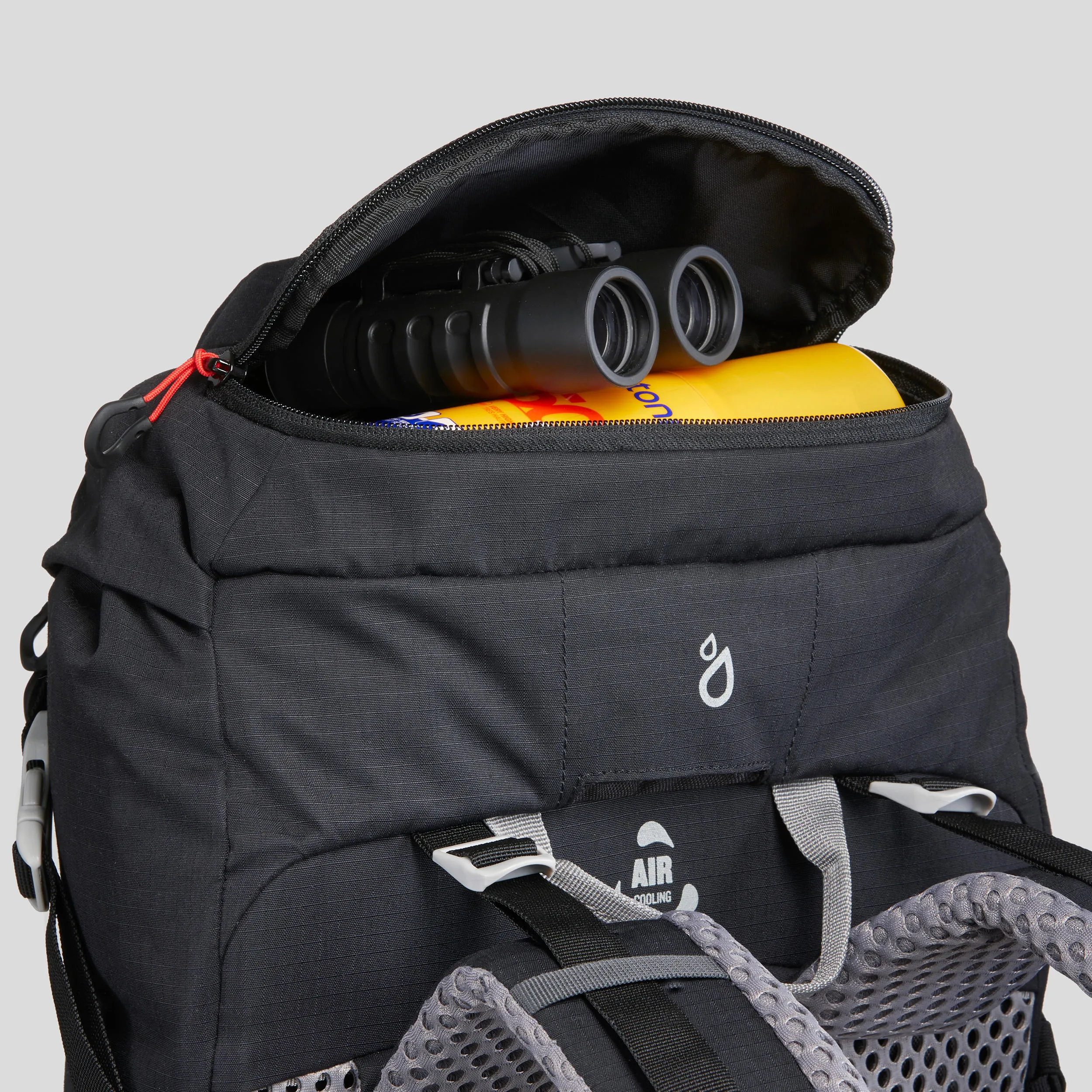 Hiking backpack Quechua MH500 20 l, black/dark gray