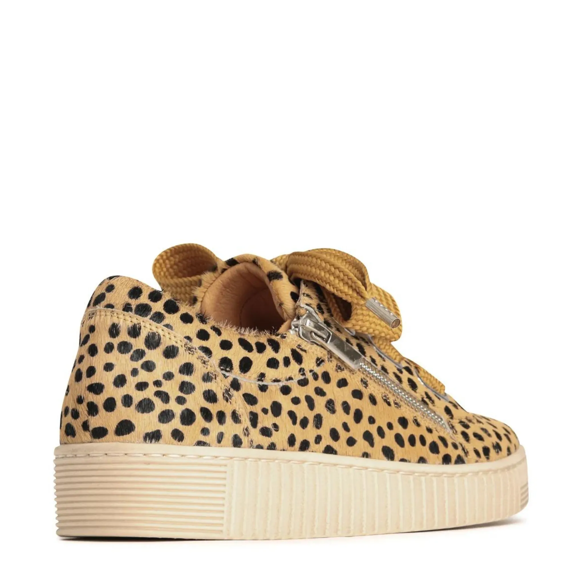 Jovi Sneaker in Cheetah Pony