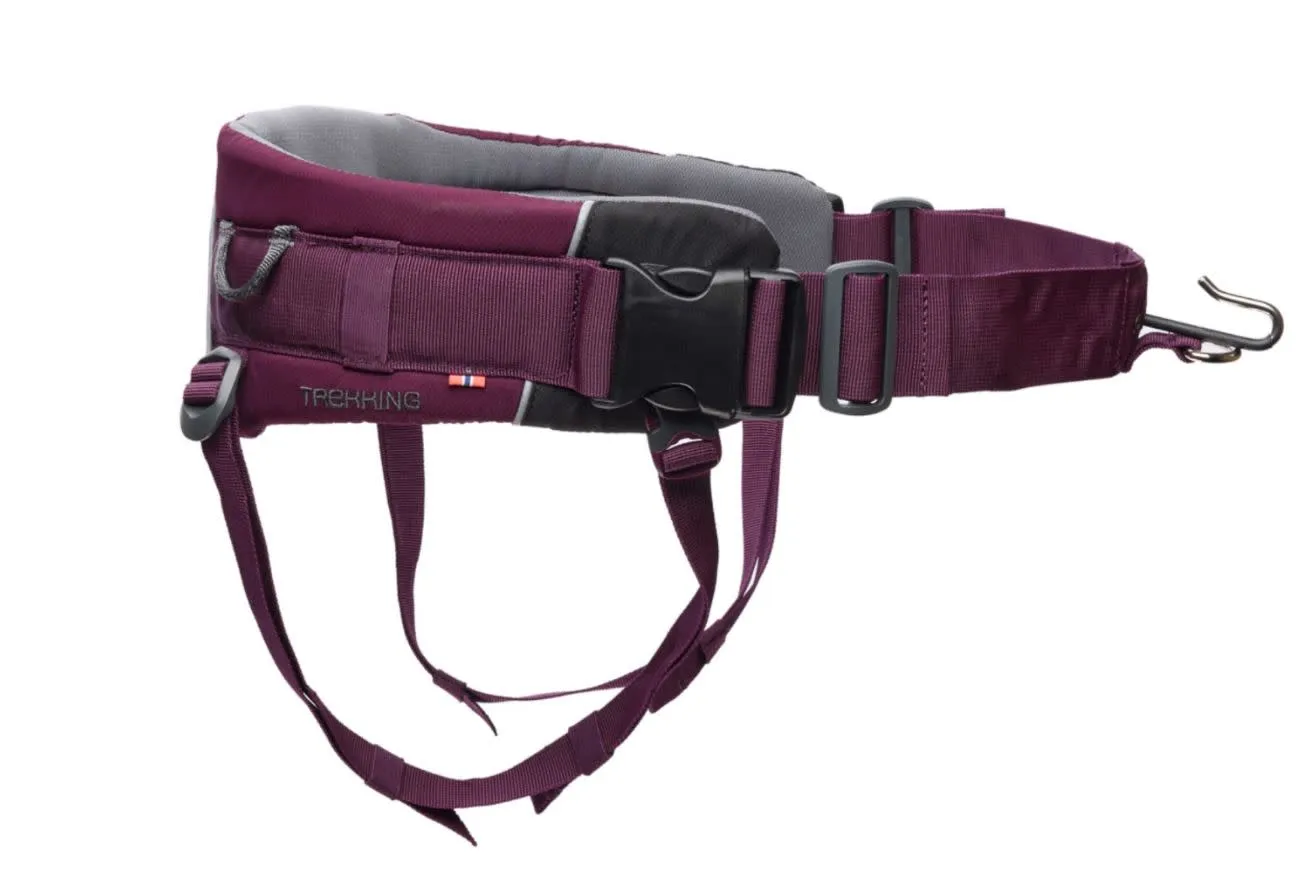 Non-stop Dogwear Trekking Belt 2.0 Size S Purple | Buy Non-stop Dogwear Trekking Belt 2.0 Size S Purple here | Outnorth