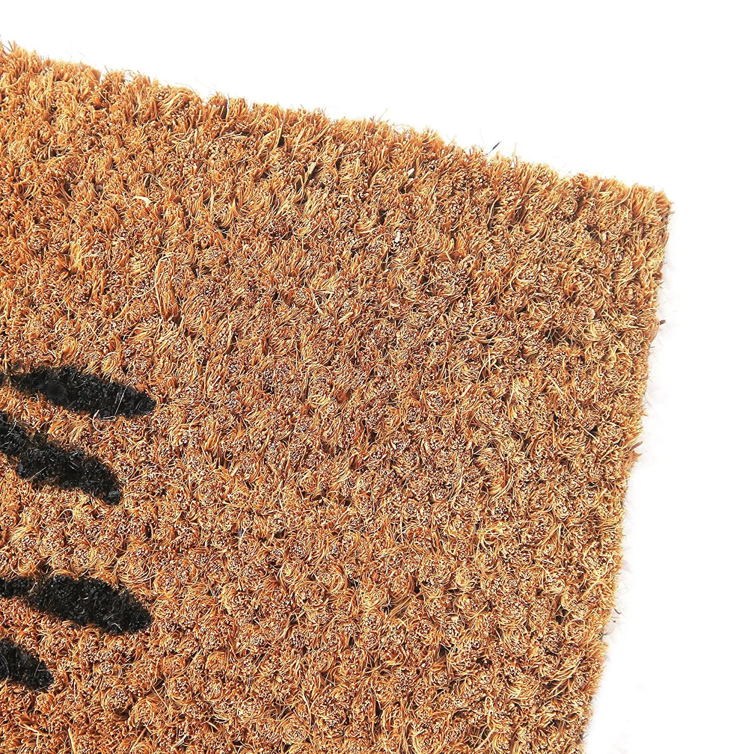 OnlyMat Tree Printed Natural Coir Door mat (120cm x 40cm )