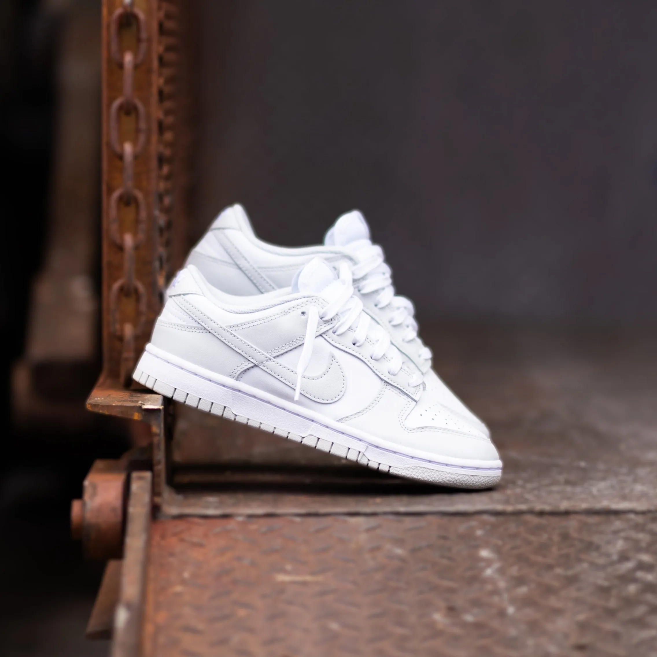 Women's Nike Dunk Low (White/Photon Dust)