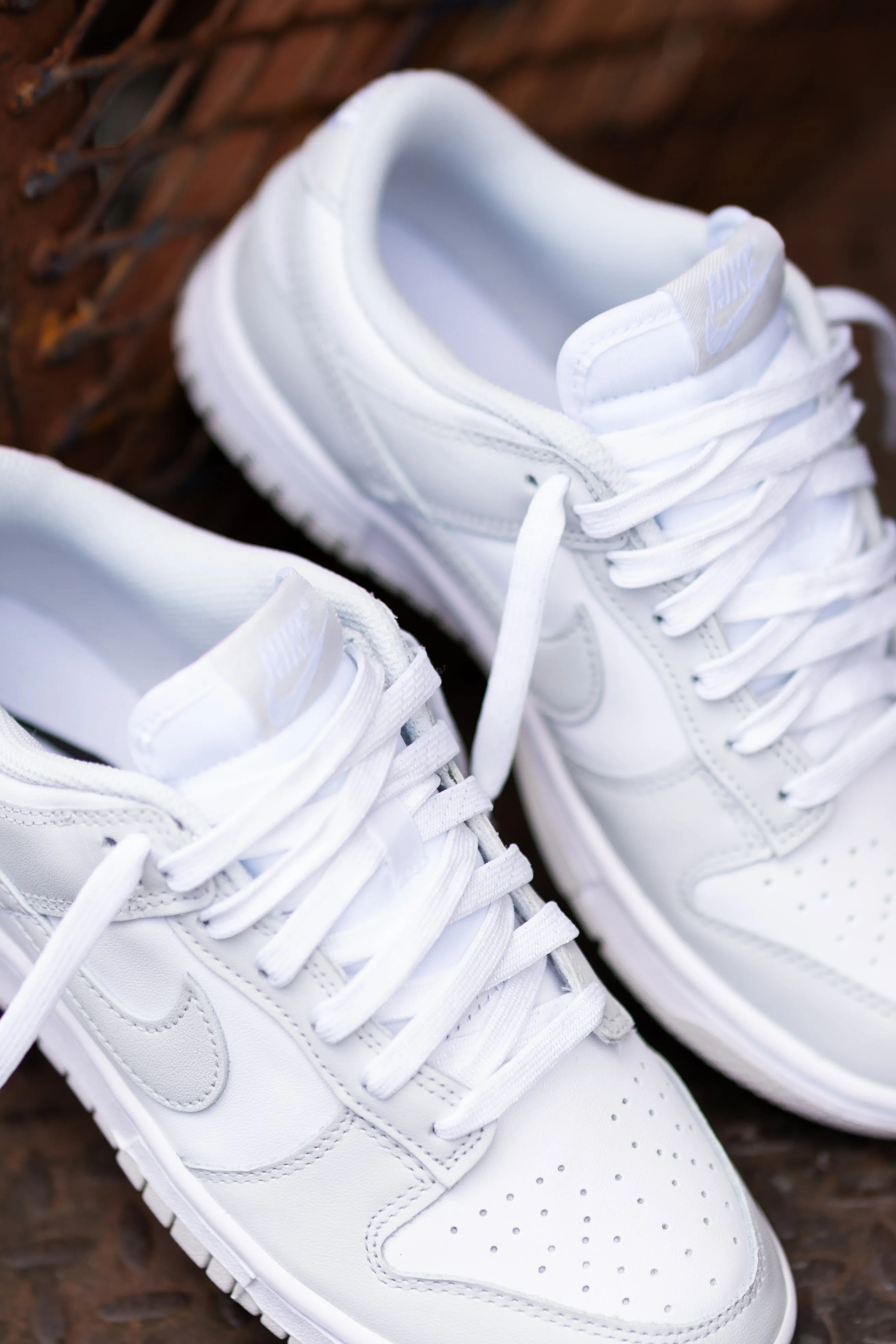 Women's Nike Dunk Low (White/Photon Dust)